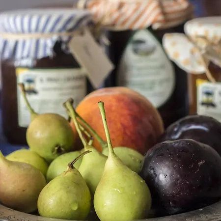 Farma Masseria Citulo Il Pino Grande