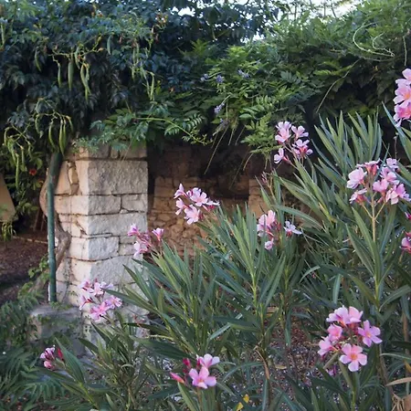 Masseria Citulo Il Pino Grande Κατάλυμα σε φάρμα