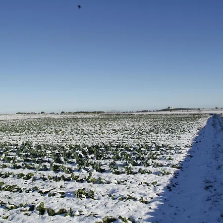 Alojamento de Turismo Rural Masseria Citulo Il Pino Grande Castel Del Monte (Apulia)