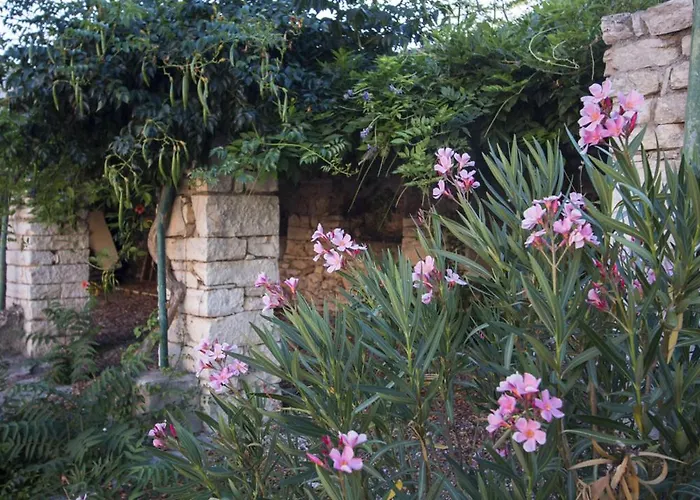 Masseria Citulo Il Pino Grande ファームステイ
