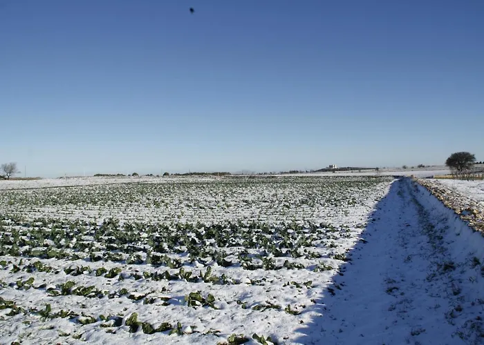Bauernhof Masseria Citulo Il Pino Grande Castel Del Monte (Apulia)